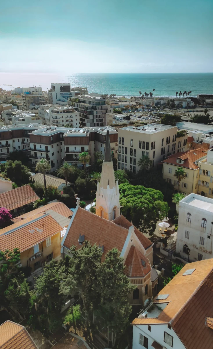 דריסקו - צילום מהאתר הרשמי · 4