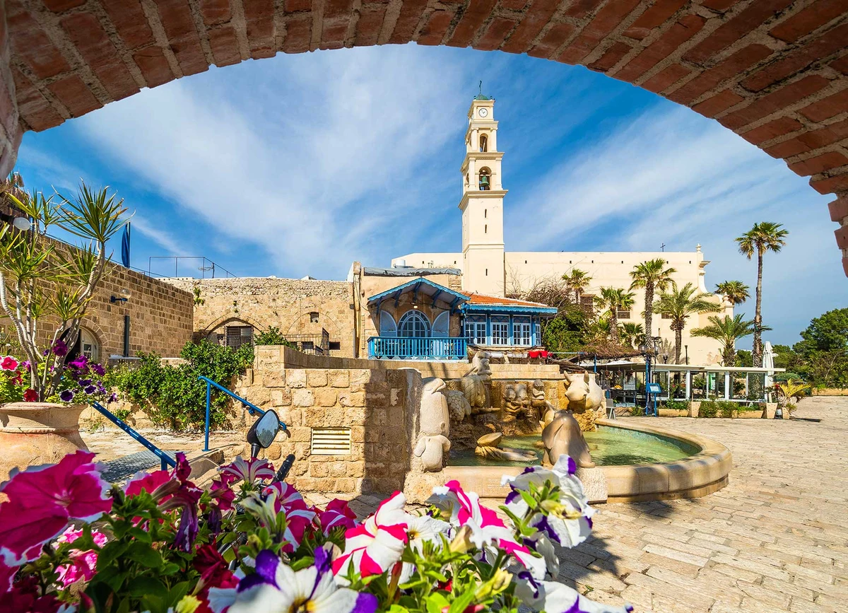 סטאי תל אביב - צילום מהאתר הרשמי · 4